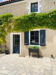 GÎte des Ruches - Peaceful & Homely with shared pool في Chives: منزل به نافذتين ومصنع خزاف