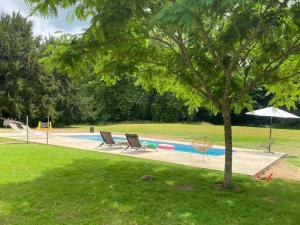une piscine avec des chaises et un arbre dans une cour dans l'établissement la Chartreuse du Domaine de la Graulet, à Bergerac