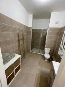 La salle de bains est pourvue d'une douche et de toilettes. dans l'établissement Nouvel appart bien-être/confort, à Saint-Ouen