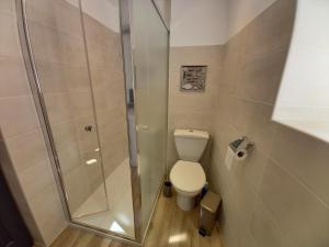 a small bathroom with a toilet and a shower at quiétude sur le Vidourle. in Sauve
