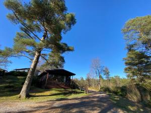 a cabin with a tree next to a dirt road at Great Glen Holidays - Chalets in Fort William