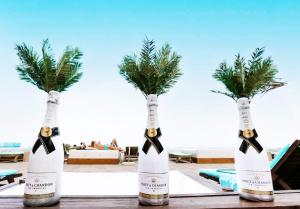 two vases with palm trees in them on a table at International Hotel Casino & Tower Suites in Golden Sands