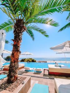 a palm tree sitting next to a pool at International Hotel Casino & Tower Suites in Golden Sands