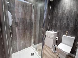 a bathroom with a shower and a toilet and a sink at Flat 3. Modern one bed apartment, Tynte Hotel, Mountain Ash in Quakers Yard