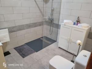 La salle de bains est pourvue d'une douche et de toilettes. dans l'établissement Casa Guanche II, à Cruce de Arinaga