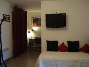 TV a/nebo společenská místnost v ubytování Chambres d'hôtes Les Palmiers de la Cité