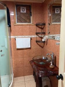 a bathroom with a sink and a shower at El Viloche - Casa de campo con tinaja in Puerto Montt