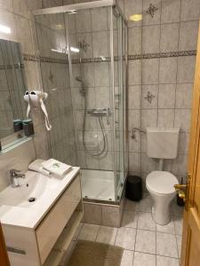 a bathroom with a shower and a sink and a toilet at Pension Rucksackpeter in Hohenbrugg an der Raab