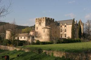un château dans un champ avec un cheval au premier plan dans l'établissement Bastide la Fondue, à Allemagne-en-Provence
