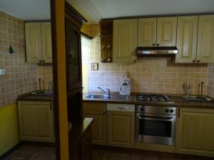 Kuchyň nebo kuchyňský kout v ubytování Apartmaji Pr-Gujlu Sela nad Podmelcem 5220 TOLMIN