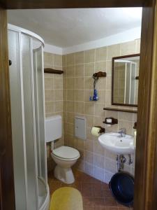Koupelna v ubytování Apartmaji Pr-Gujlu Sela nad Podmelcem 5220 TOLMIN