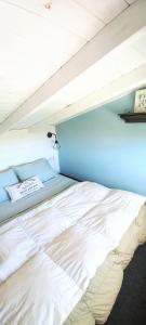 a bed in a room with a blue wall at Tiny house Refugio santa isabel in Colonia Chapadmalal