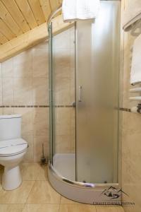łazienka z prysznicem i toaletą w obiekcie Girska Hatyna Vorohta w mieście Worochta