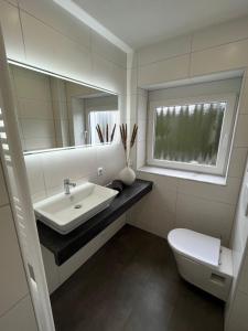 a bathroom with a sink and a toilet and a mirror at Zum Sternberg in Münsingen