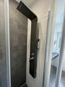 um chuveiro com uma porta de vidro na casa de banho em Zum Sternberg em Münsingen
