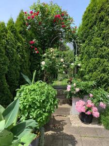 a garden with flowers and a gate with roses at Zum Sternberg in Münsingen