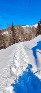 a person is skiing down a snow covered slope at La casetta di Diego in Abetone