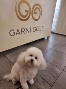 Hišni ljubljenčki, ki bivajo z gosti v nastanitvi Hotel Garni Golf