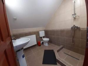 La salle de bains est pourvue d'un lavabo et de toilettes. dans l'établissement CRYSTAL CLEAR AIR, TRANQUILITY & STUNNING SUNSETS, à Vlăhiţa