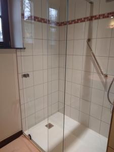 La salle de bains est pourvue d'une douche avec une porte en verre. dans l'établissement Château de Bonne Espérance, à Huy
