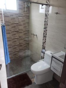 a bathroom with a toilet and a glass shower at Apartamento amoblado con excelente ubicación en Pasto in Pasto