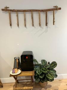 a table with a coffee maker and a plant at Fig Tree House in Lymington