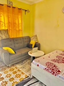 sala de estar con sofá y mesa con ordenador portátil en Cozy studio apartment en Arusha