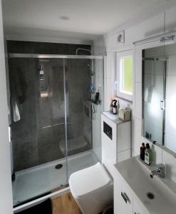 La salle de bains est pourvue d'une douche, de toilettes et d'un lavabo. dans l'établissement Luxe Chalet Leeuwenhart - recreation only, à Hoenderloo