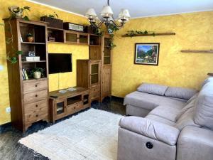 sala de estar con sofá y TV en Casa rural en Asturias, en Arboleya