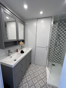 uma casa de banho com um lavatório e um chuveiro em Cocon vintage - T4 central et lumineux em Annecy