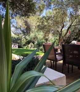 Fotografia z galérie ubytovania Gard - Maison Loft exotique & Jacuzzi privatif v destinácii Beaucaire