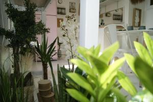 Fotografia z galérie ubytovania Gard - Maison Loft exotique & Jacuzzi privatif v destinácii Beaucaire