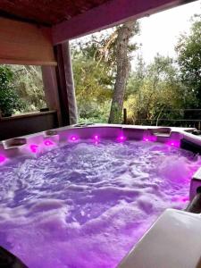 Fotografia z galérie ubytovania Gard - Maison Loft exotique & Jacuzzi privatif v destinácii Beaucaire