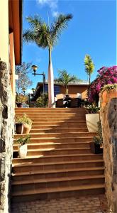 una escalera con macetas y una palmera en VILLA DE LUXE 5***** golf - piscine chauffée - home cinéma - billard, en Mogán