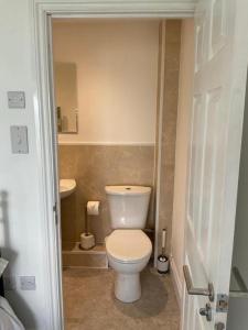 a bathroom with a white toilet and a sink at Woodlands Bellevue Bed & Breakfast in New Quay