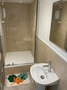 uma casa de banho com um lavatório e um chuveiro em Woodlands Bellevue Bed & Breakfast em New Quay