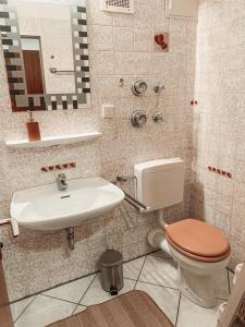 a bathroom with a toilet and a sink at **TOP**GEMÜTLICH*BERGNAH*ZENTRAL*NETFLIX & RELAX* in Sonthofen