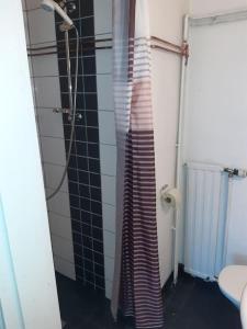 a shower in a bathroom with a striped shower curtain at Willa Witsari 35m2 asunto in Kokkola