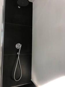 een douche met een douchekop in de badkamer bij Dachstudio in Traumlage mit spektakulärem Ausblick in Bühlertal