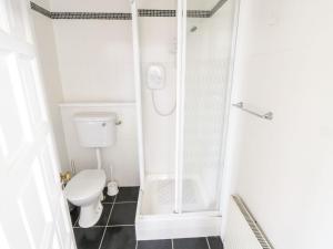 a bathroom with a toilet and a shower at Millvale Cottage in Cootehill