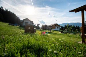 Chalets und Apartments Hauserhof Nassfeld في Schlanitzen: ميدان عشبي مع حديقة مع ملعب