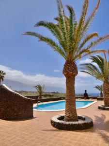 un grupo de palmeras junto a una piscina en Finca Afortunada en Las Puntas