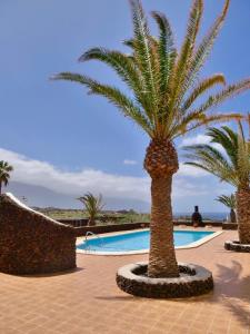 un grupo de palmeras junto a una piscina en Finca Afortunada, en Las Puntas