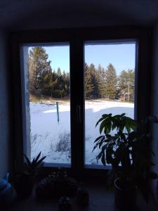 une fenêtre avec vue sur une cour enneigée dans l'établissement Monteur-Ferienwohnung OT Naundorf, à Naundorf