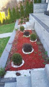 a garden with red and white flowers on the steps at vila Nikolaj in Niš