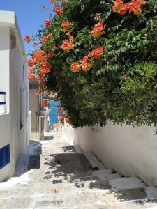 Fotografia z galérie ubytovania Sweet & Cosy Αpartment in Chora's old town v destinácii Andros