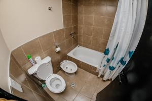 a bathroom with a toilet and a bath tub at Centrico, Comodo, Calido in Ushuaia