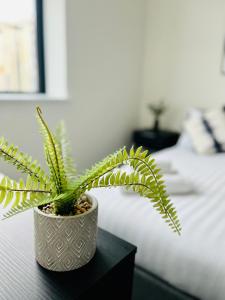 une plante en pot assise sur une table à côté d'un lit dans l'établissement Fabulous one bedroom apartment near Old Trafford Stadium, à Manchester