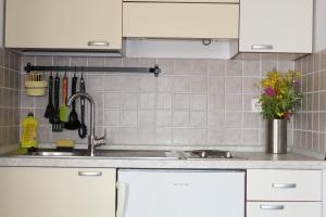 a kitchen counter with white cabinets and a sink at Gorgonia Apartments in Verunić