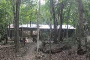 Zahrada ubytování Campamento Yaax Che en Calakmul